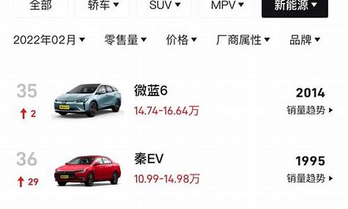 30多万的新能源车suv_30万新能源汽车排名